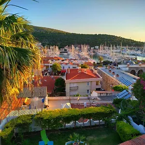 Yalcin Turkey